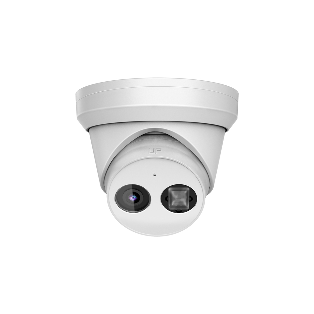 DT343-I Security Camera (1)
